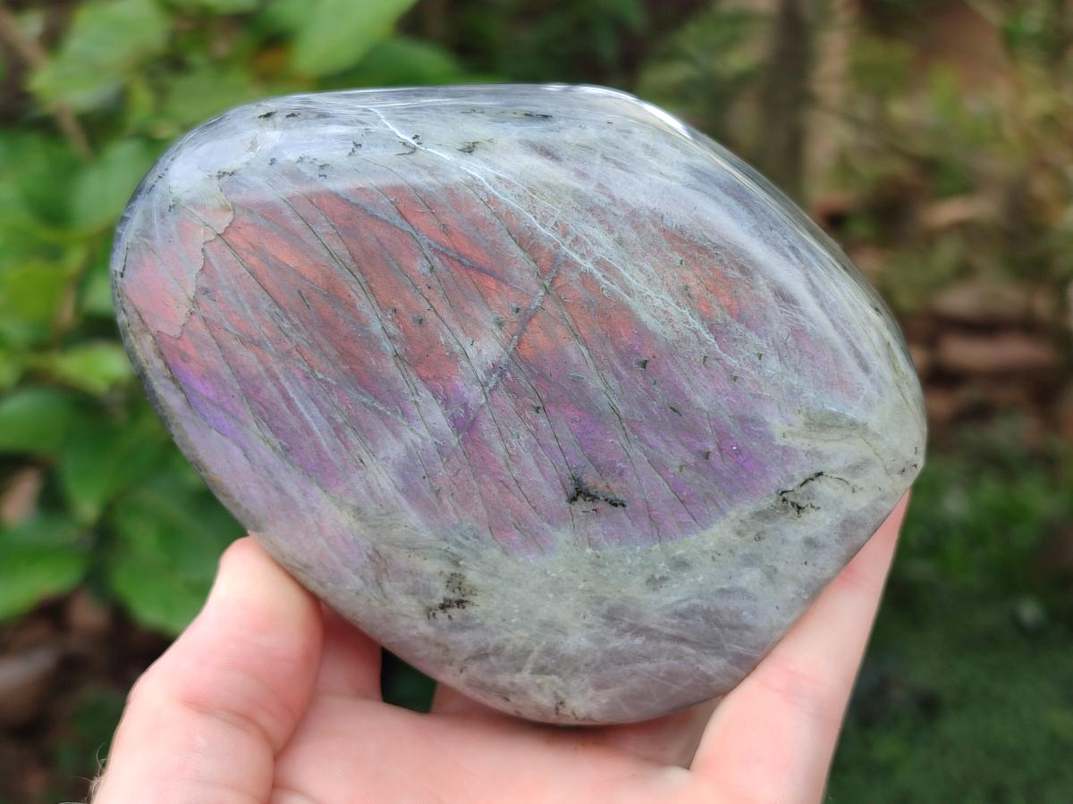 Polished Rare Purple Sunset Flash Labradorite Standing Display Pieces x 2 From Madagascar - Toprock Gemstones and Minerals 