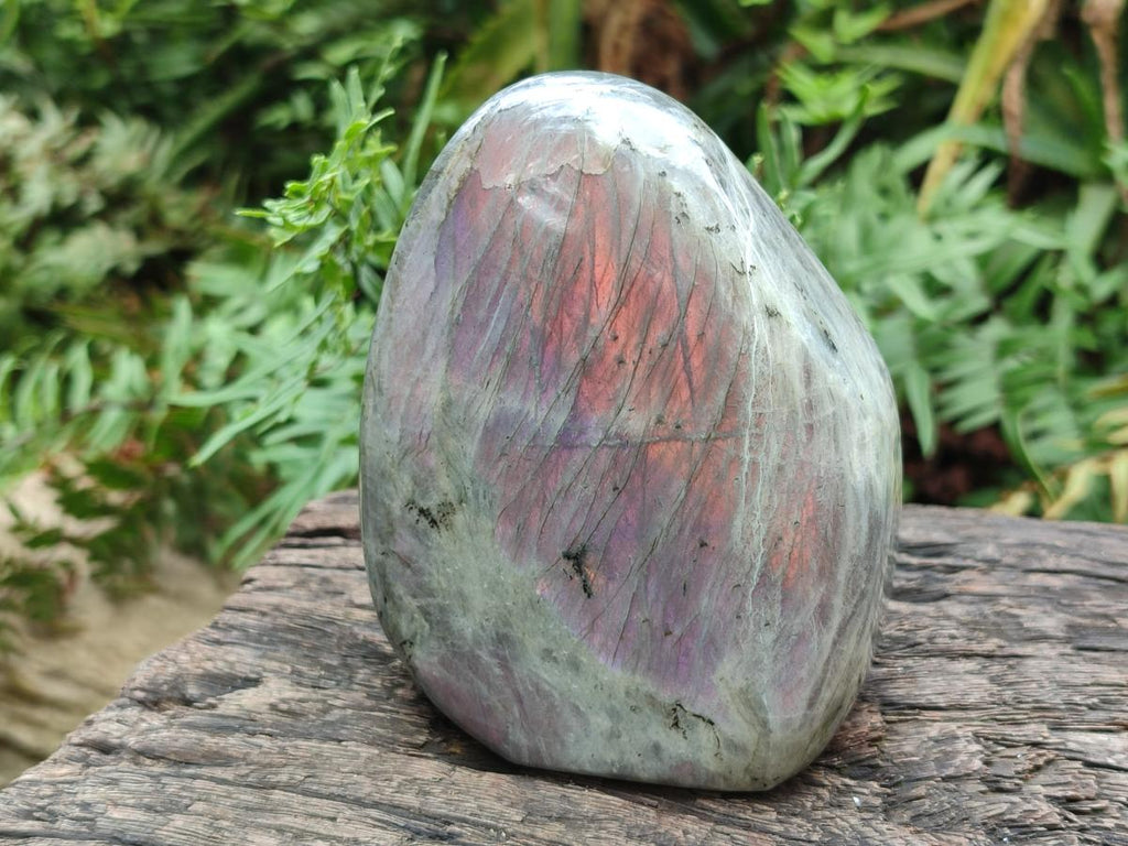 Polished Rare Purple Sunset Flash Labradorite Standing Display Pieces x 2 From Madagascar - Toprock Gemstones and Minerals 