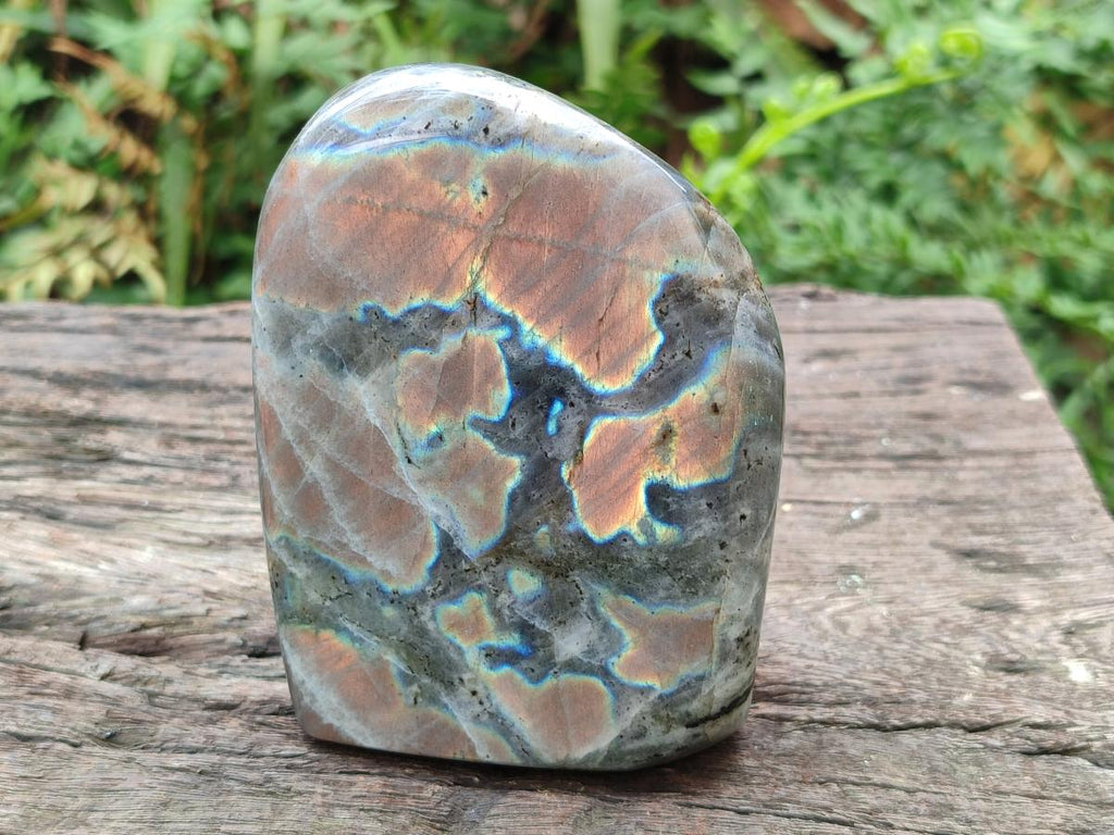 Polished Rare Purple Sunset Flash Labradorite Standing Display Pieces x 2 From Madagascar - Toprock Gemstones and Minerals 