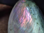 Polished Rare Purple Sunset Flash Labradorite Standing Display Pieces x 2 From Madagascar - Toprock Gemstones and Minerals 