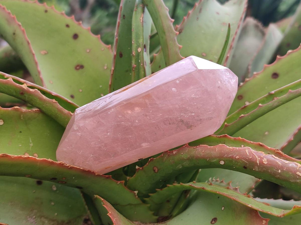 Polished Double Terminated Gemmy Rose Quartz Crystals x 6 From Madagascar - Toprock Gemstones and Minerals 