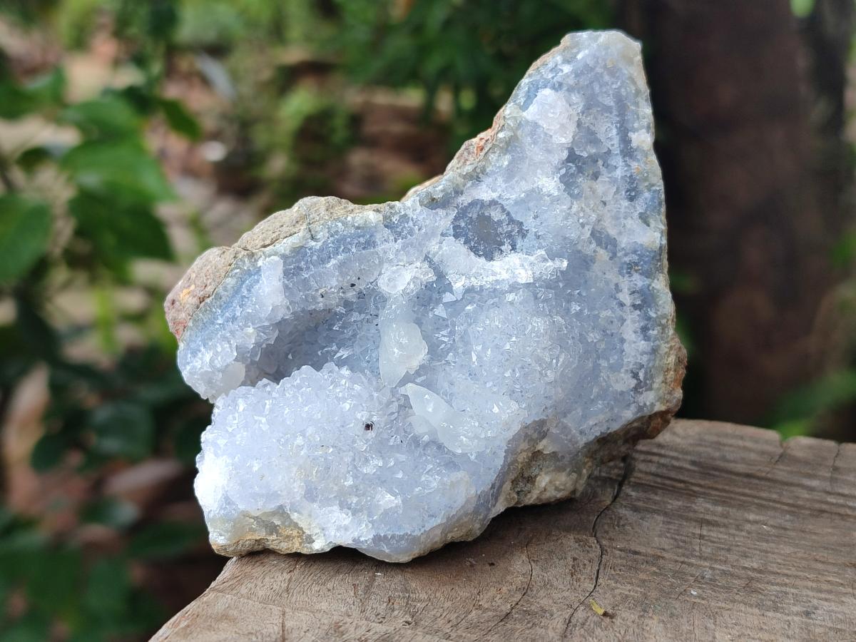 Natural Blue Lace Agate Geode Specimens x 12 From Nsanje, Malawi - Toprock Gemstones and Minerals 