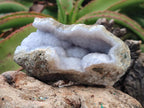Natural Blue Lace Agate Geode Specimens x 12 From Nsanje, Malawi - Toprock Gemstones and Minerals 