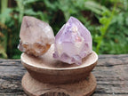 Natural Mix of Spirit Amethyst and Clear Spirit Quartz Single Crystals x 63 From Boekenhouthoek, South Africa - Toprock Gemstones and Minerals 