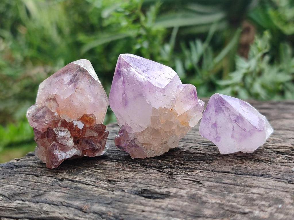 Natural Mix of Spirit Amethyst and Clear Spirit Quartz Single Crystals x 63 From Boekenhouthoek, South Africa - Toprock Gemstones and Minerals 