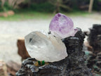 Natural Mix of Spirit Amethyst and Clear Spirit Quartz Single Crystals x 63 From Boekenhouthoek, South Africa - Toprock Gemstones and Minerals 