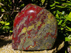 Polished Large Bastite Dragonsblood Stone Standing Display Free form x 1 From Tshipise, South Africa - Toprock Gemstones and Minerals 