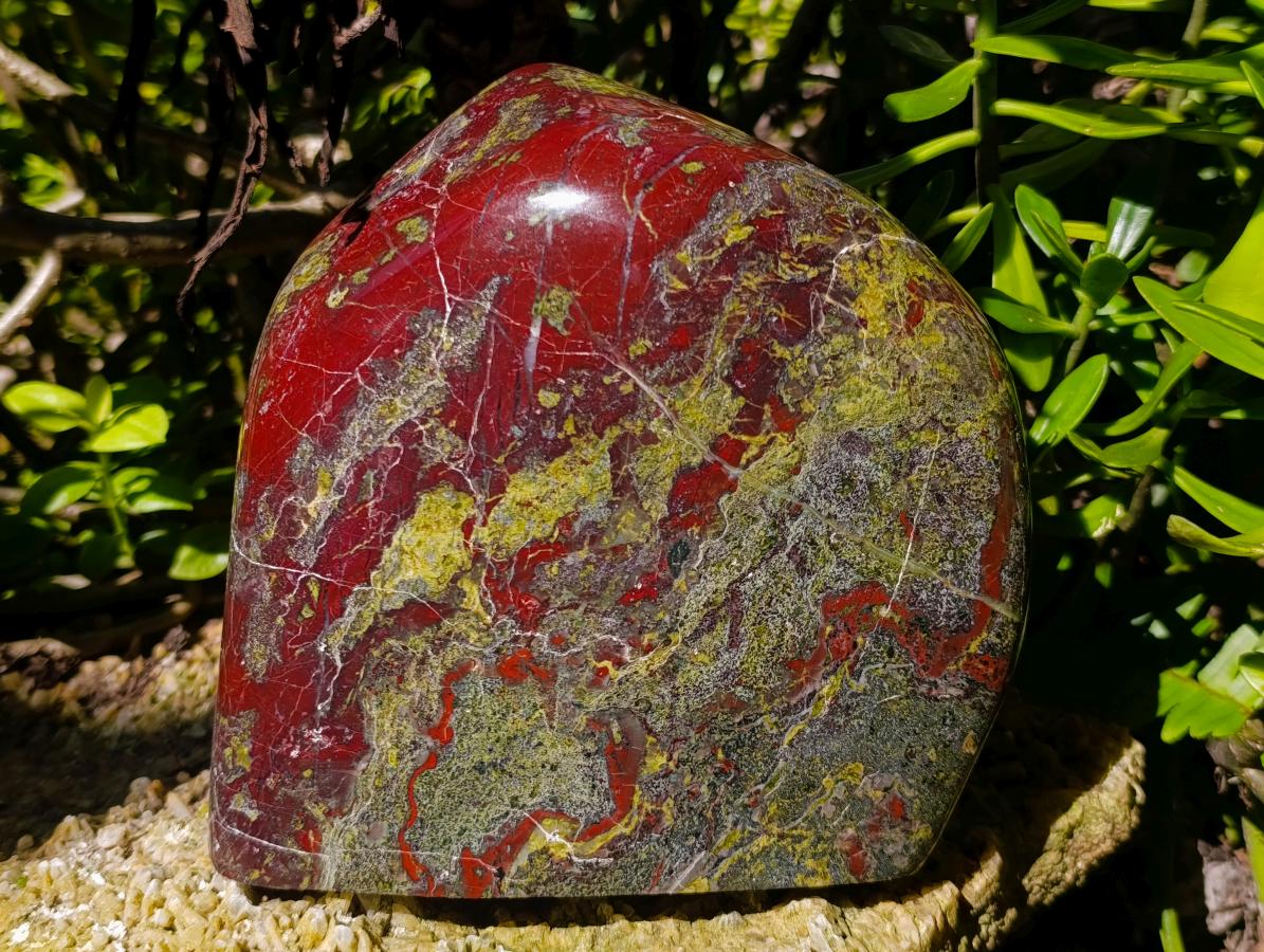Polished Large Bastite Dragonsblood Stone Standing Display Free form x 1 From Tshipise, South Africa - Toprock Gemstones and Minerals 