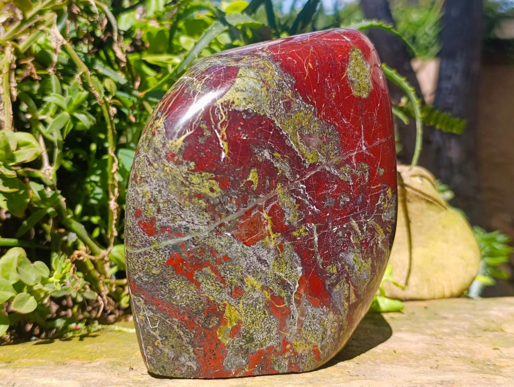 Polished Large Bastite Dragonsblood Stone Standing Display Free form x 1 From Tshipise, South Africa - Toprock Gemstones and Minerals 