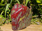 Polished Large Bastite Dragonsblood Stone Standing Display Free form x 1 From Tshipise, South Africa - Toprock Gemstones and Minerals 