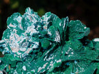 Natural Large Cabinet Rare Malachite Pseudomorph Specimen with Associated x 1 From Kolwezi, Congo - Toprock Gemstones and Minerals 