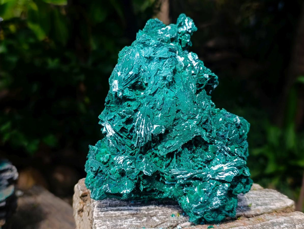Natural Large Cabinet Rare Malachite Pseudomorph Specimen with Associated x 1 From Kolwezi, Congo - Toprock Gemstones and Minerals 