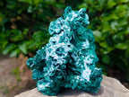 Natural Large Cabinet Rare Malachite Pseudomorph Specimen with Associated x 1 From Kolwezi, Congo - Toprock Gemstones and Minerals 