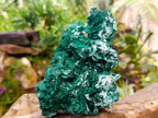 Natural Large Cabinet Rare Malachite Pseudomorph Specimen with Associated x 1 From Kolwezi, Congo - Toprock Gemstones and Minerals 