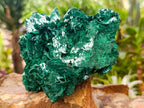 Natural Large Cabinet Rare Malachite Pseudomorph Specimen with Associated x 1 From Kolwezi, Congo - Toprock Gemstones and Minerals 