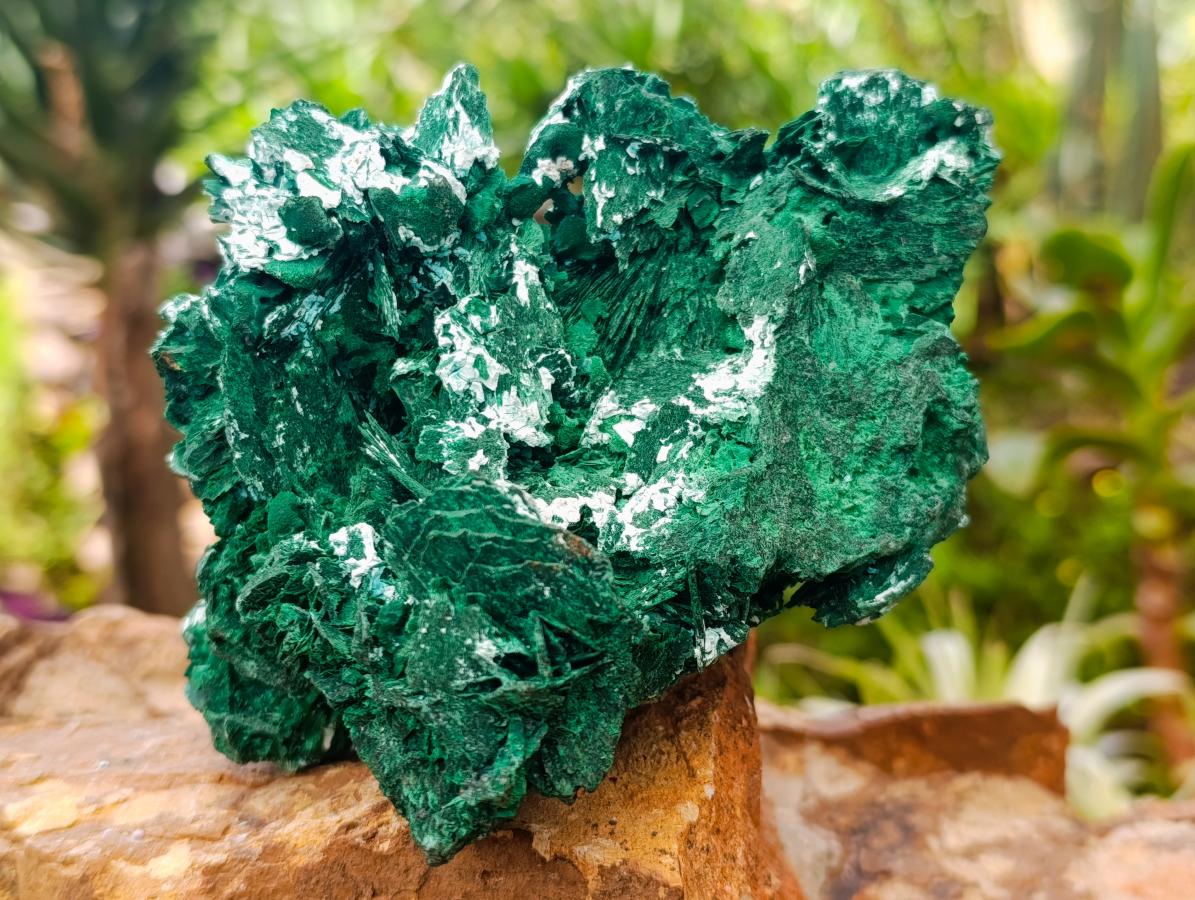 Natural Large Cabinet Rare Malachite Pseudomorph Specimen with Associated x 1 From Kolwezi, Congo - Toprock Gemstones and Minerals 