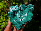 Natural Large Cabinet Rare Malachite Pseudomorph Specimen with Associated x 1 From Kolwezi, Congo - Toprock Gemstones and Minerals 