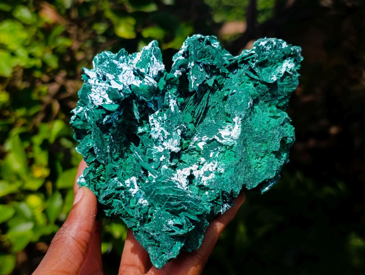 Natural Large Cabinet Rare Malachite Pseudomorph Specimen with Associated x 1 From Kolwezi, Congo - Toprock Gemstones and Minerals 