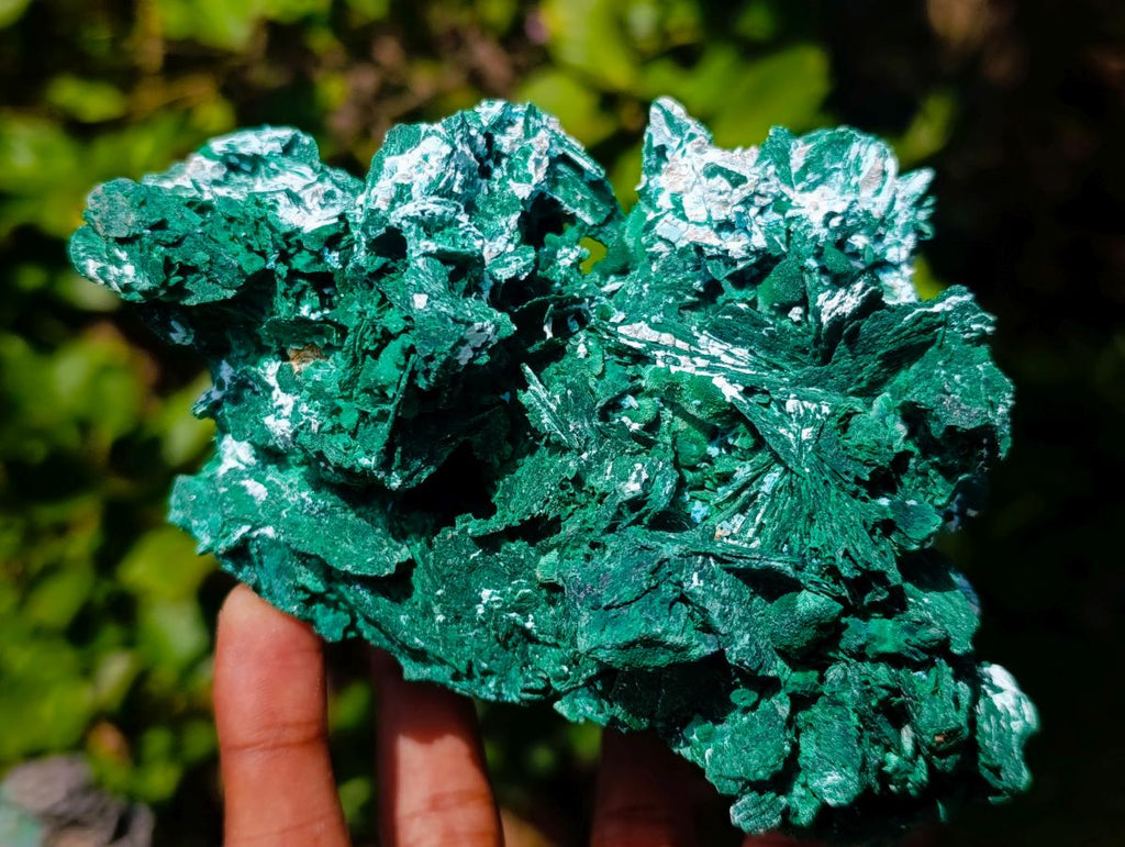 Natural Large Cabinet Rare Malachite Pseudomorph Specimen with Associated x 1 From Kolwezi, Congo - Toprock Gemstones and Minerals 