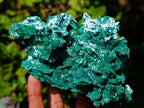 Natural Large Cabinet Rare Malachite Pseudomorph Specimen with Associated x 1 From Kolwezi, Congo - Toprock Gemstones and Minerals 