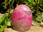 Polished Large Rhodonite Standing Display Piece x 1 From Ambindavato, Madagascar - Toprock Gemstones and Minerals 