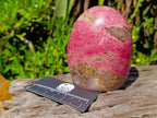 Polished Large Rhodonite Standing Display Piece x 1 From Ambindavato, Madagascar - Toprock Gemstones and Minerals 