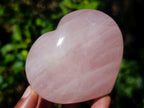 Polished Gemmy Rose Quartz Hearts x 6 From Madagascar - Toprock Gemstones and Minerals 