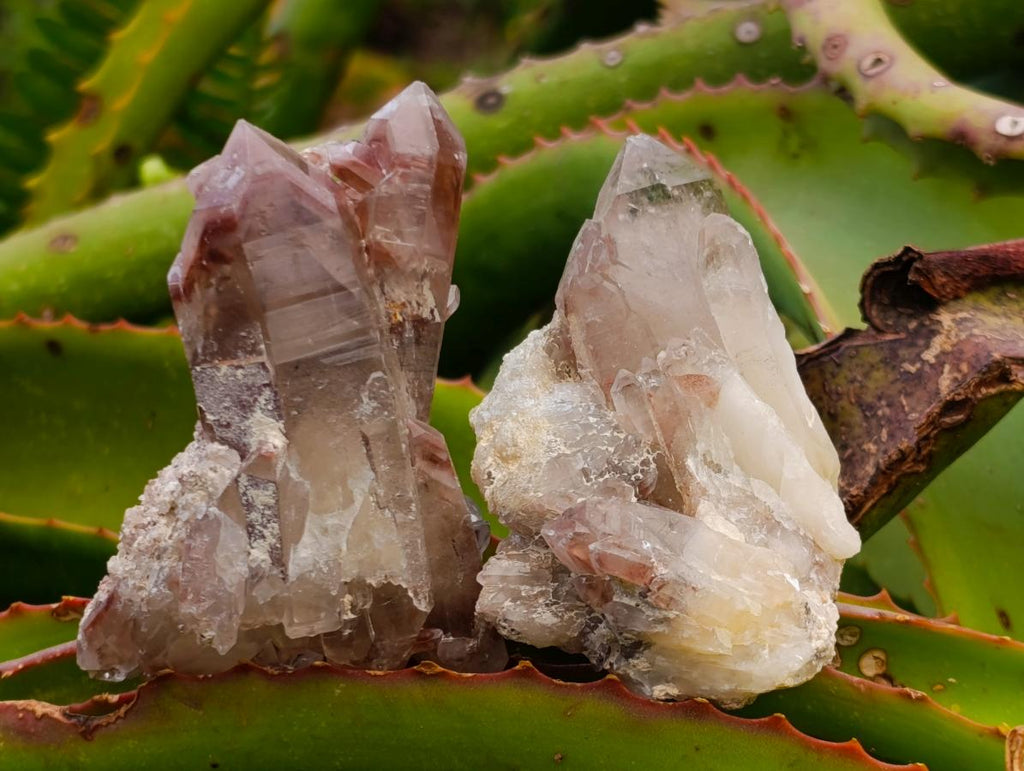 Natural Red Hematoid Quartz Crystals x 35 From Karoi, Zimbabwe - Toprock Gemstones and Minerals 