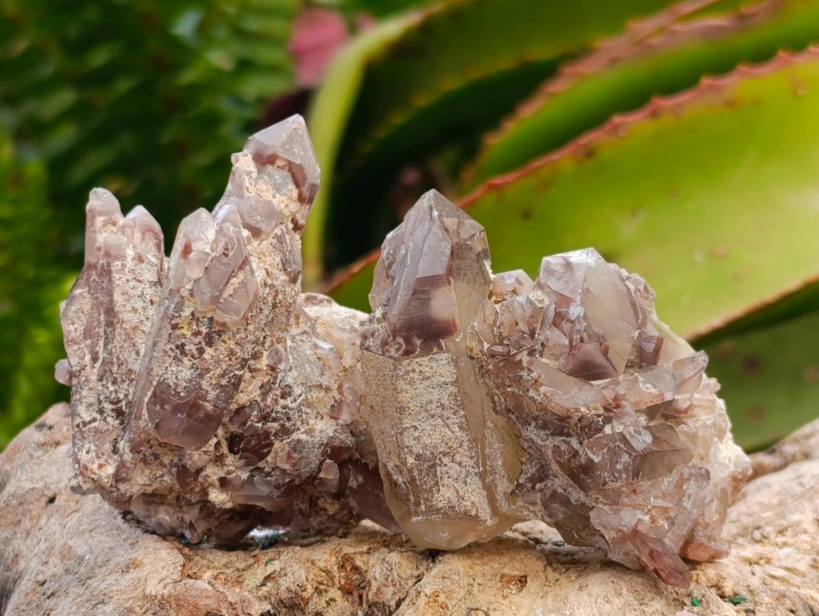 Natural Red Hematoid Quartz Crystals x 35 From Karoi, Zimbabwe - Toprock Gemstones and Minerals 