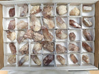 Natural Red Hematoid Quartz Crystals x 35 From Karoi, Zimbabwe - Toprock Gemstones and Minerals 