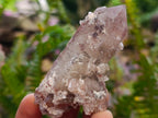 Natural Red Hematoid Quartz Crystals x 35 From Karoi, Zimbabwe - Toprock Gemstones and Minerals 