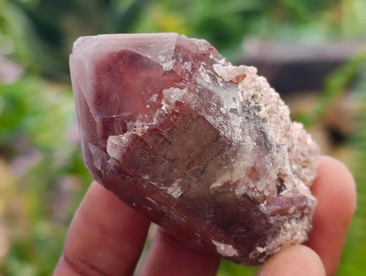 Natural Red Hematoid Quartz Crystals x 35 From Karoi, Zimbabwe - Toprock Gemstones and Minerals 