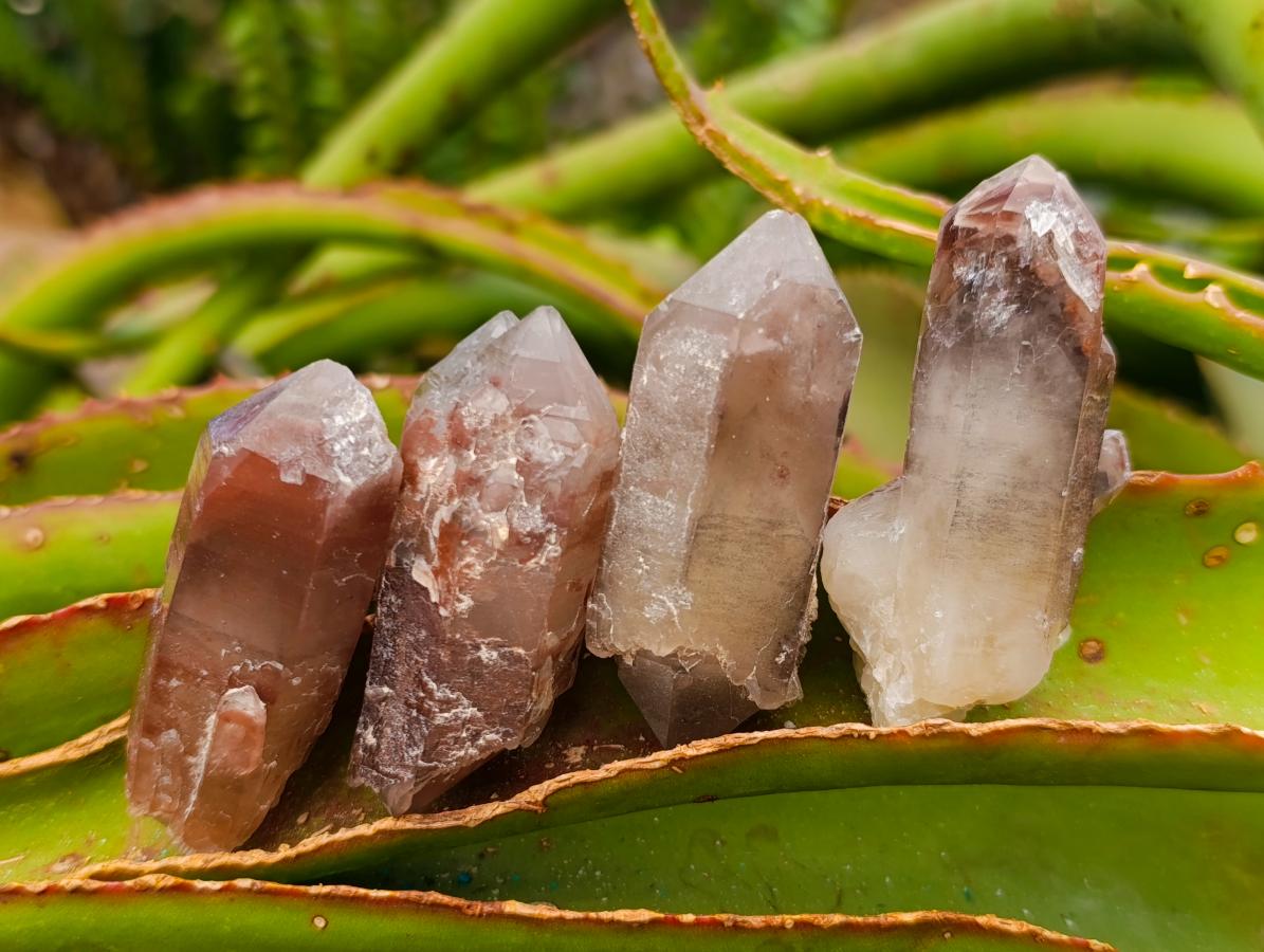 Natural Red Hematoid Quartz Crystals x 35 From Karoi, Zimbabwe - Toprock Gemstones and Minerals 