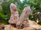 Natural Red Hematoid Quartz Crystals x 35 From Karoi, Zimbabwe - Toprock Gemstones and Minerals 