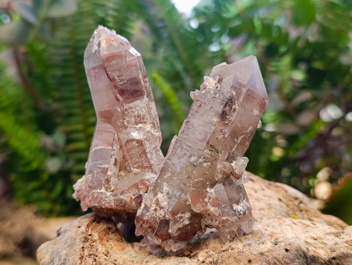 Natural Red Hematoid Quartz Crystals x 35 From Karoi, Zimbabwe - Toprock Gemstones and Minerals 