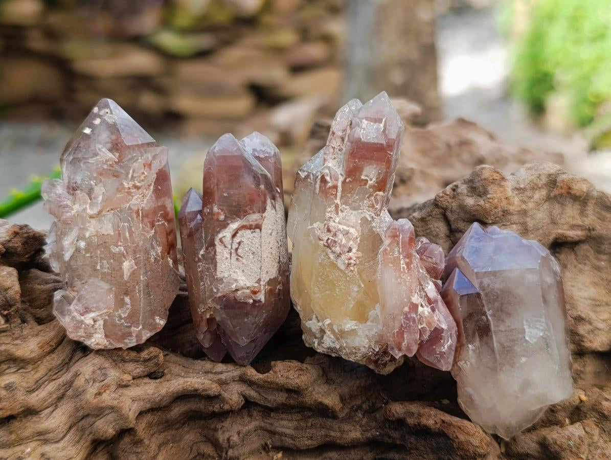 Natural Red Hematoid Quartz Crystals x 35 From Karoi, Zimbabwe - Toprock Gemstones and Minerals 