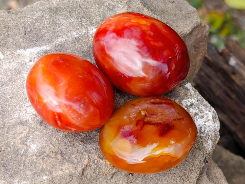 Polished Carnelian Agate Gemstone Galets x 24 From Madagascar - Toprock Gemstones and Minerals 