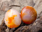 Polished Carnelian Agate Gemstone Galets x 24 From Madagascar - Toprock Gemstones and Minerals 