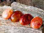 Polished Carnelian Agate Gemstone Galets x 24 From Madagascar - Toprock Gemstones and Minerals 