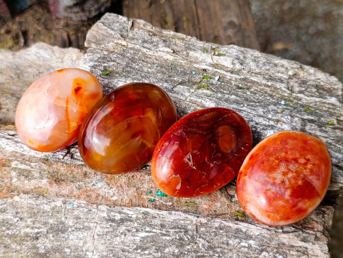 Polished Carnelian Agate Gemstone Galets x 24 From Madagascar - Toprock Gemstones and Minerals 