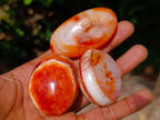 Polished Carnelian Agate Gemstone Galets x 24 From Madagascar - Toprock Gemstones and Minerals 
