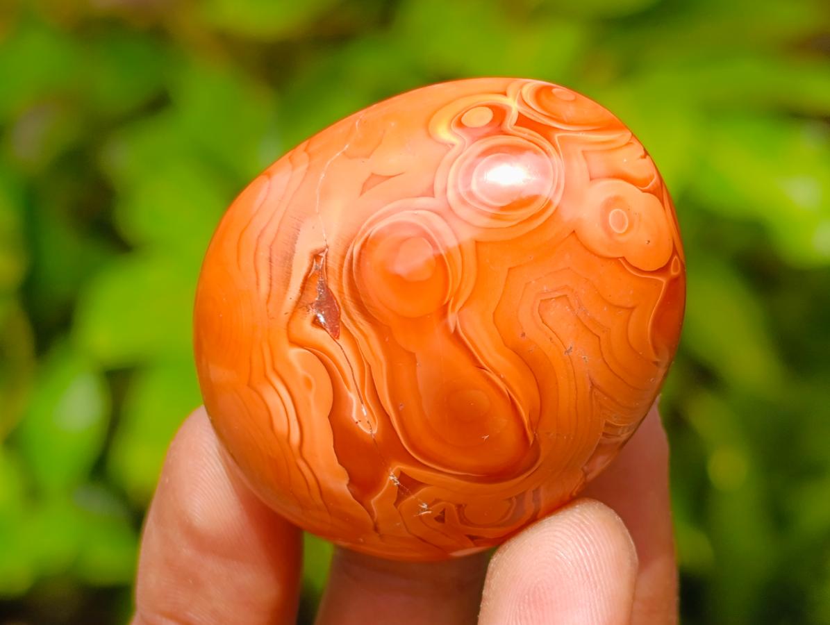 Polished Carnelian Agate Gemstone Galets x 24 From Madagascar - Toprock Gemstones and Minerals 