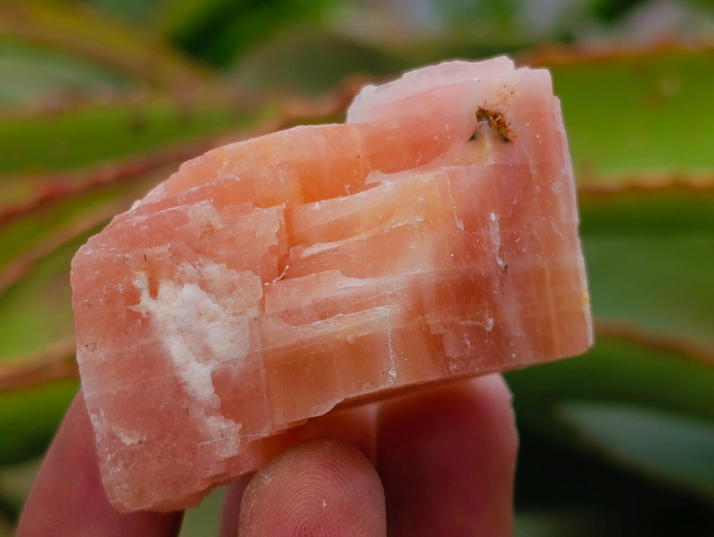 Natural Rhombohedral Sunset Orange Calcite Specimens x 39 From Spitzkop, Namibia - Toprock Gemstones and Minerals 