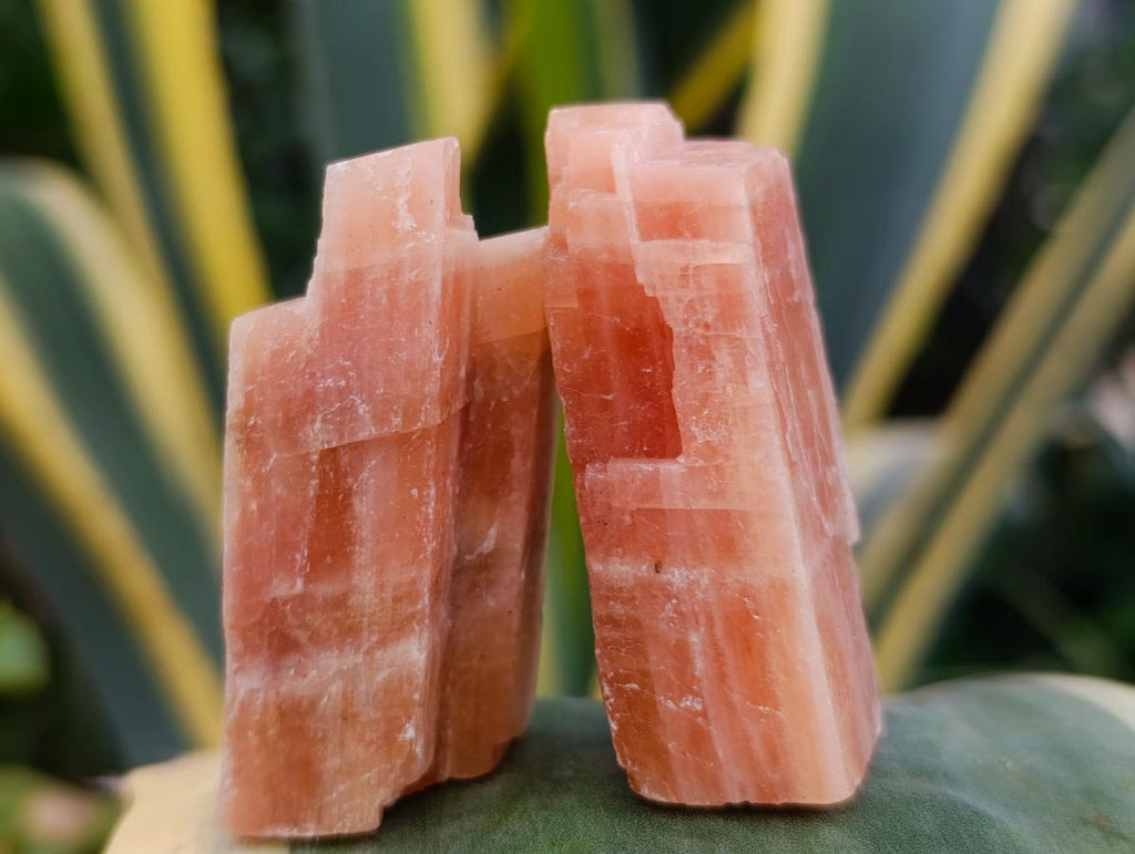 Natural Rhombohedral Sunset Orange Calcite Specimens x 39 From Spitzkop, Namibia - Toprock Gemstones and Minerals 