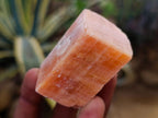 Natural Rhombohedral Sunset Orange Calcite Specimens x 39 From Spitzkop, Namibia - Toprock Gemstones and Minerals 