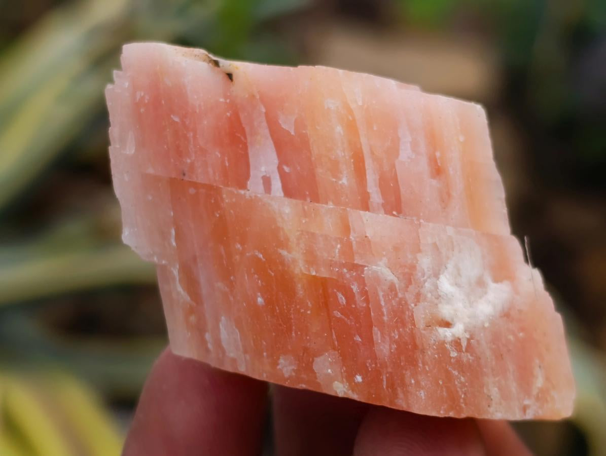 Natural Rhombohedral Sunset Orange Calcite Specimens x 39 From Spitzkop, Namibia - Toprock Gemstones and Minerals 