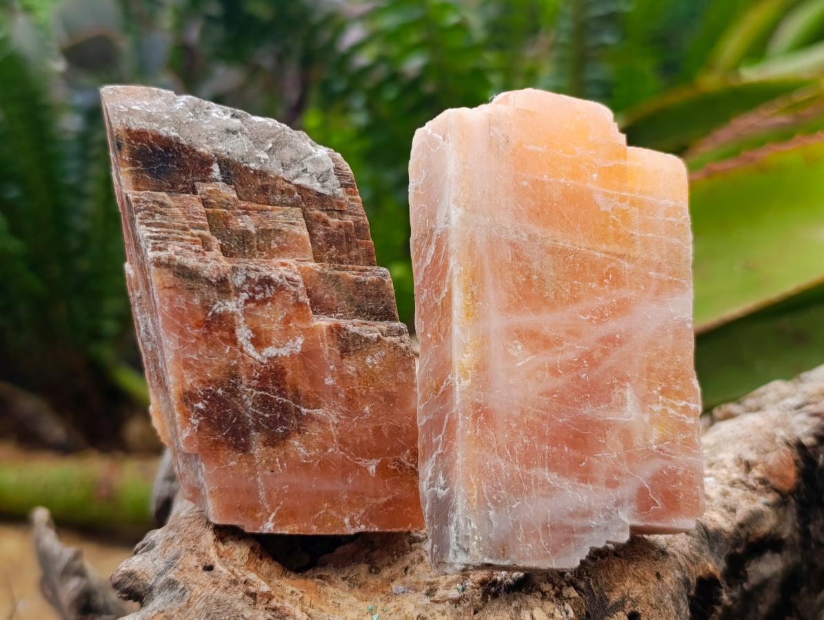 Natural Rhombohedral Sunset Orange Calcite Specimens x 39 From Spitzkop, Namibia - Toprock Gemstones and Minerals 