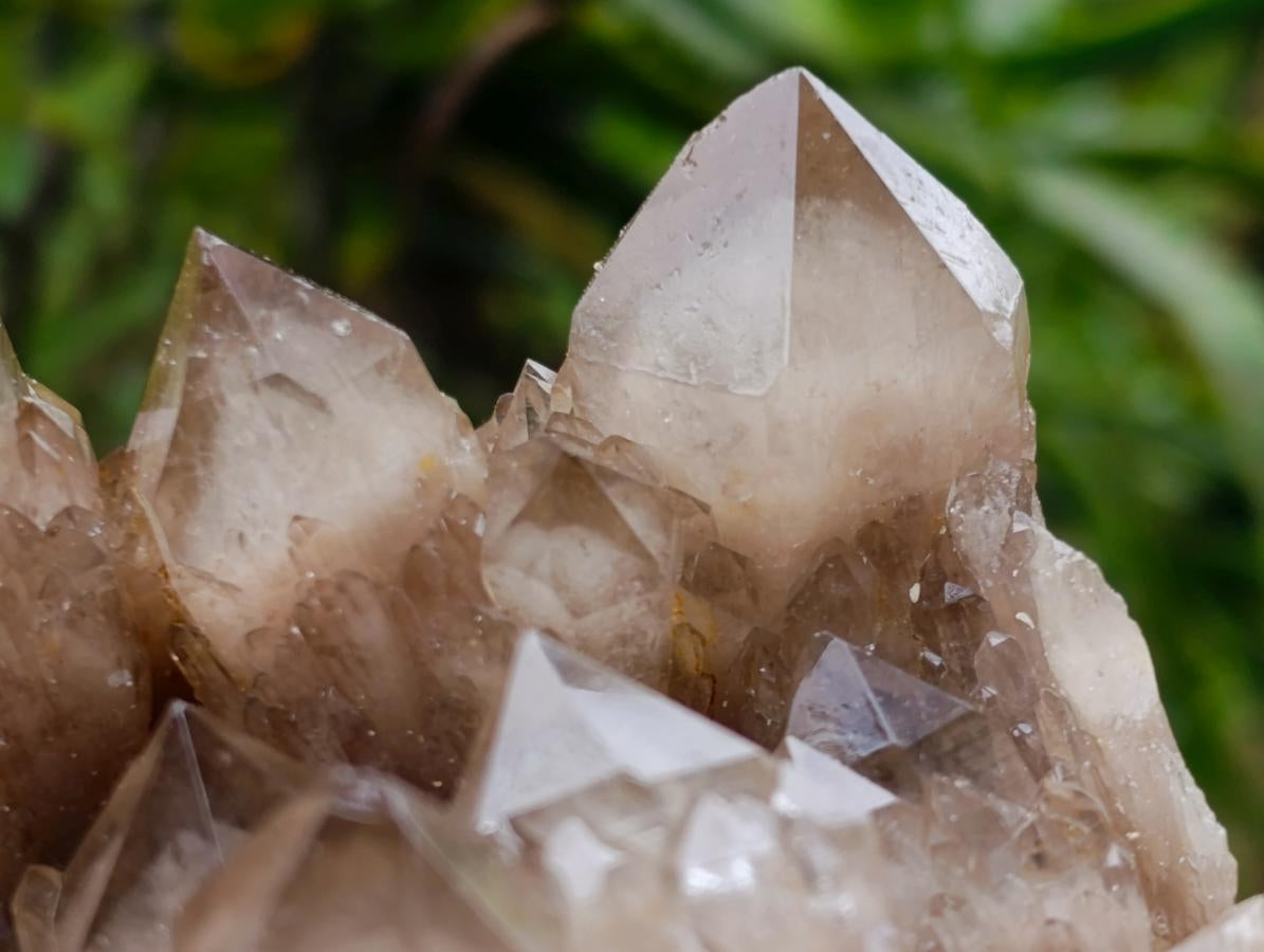 Natural Cascading Phantom Smokey Luena Quartz Clusters x 2 From Luena, Congo - Toprock Gemstones and Minerals 