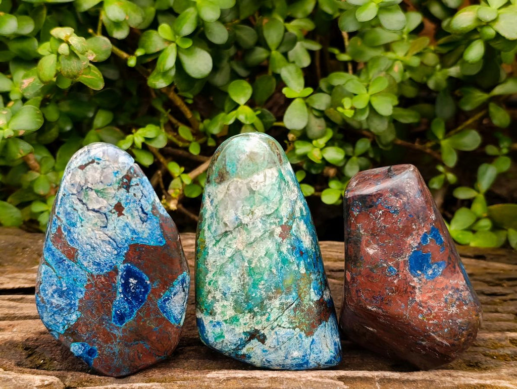 Polished Shattuckite, Malachite and Azurite Free Forms x 3 From Kaokoveld, Namibia - Toprock Gemstones and Minerals 