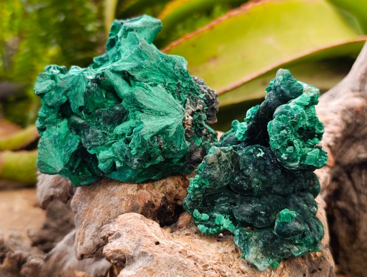 Natural Silky Malachite Specimens x 6 From Kasompe, Congo - Toprock Gemstones and Minerals 